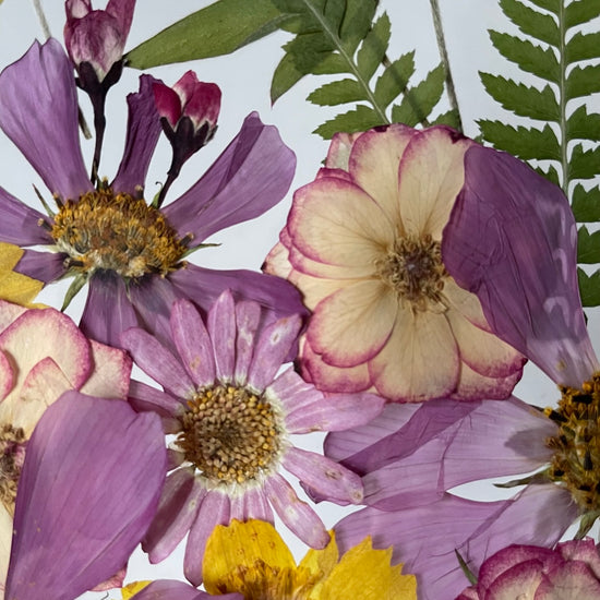 Krásenkové přátelství