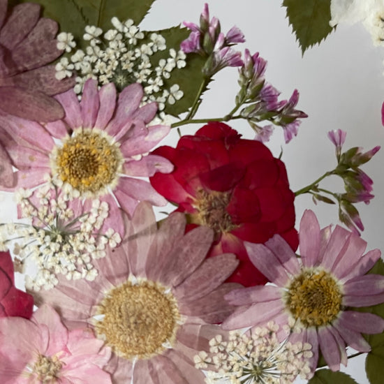 Zahrada královny růží