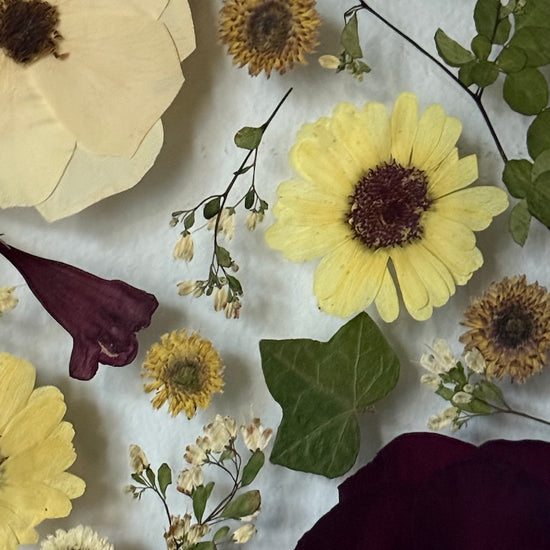 Podzimní melancholie