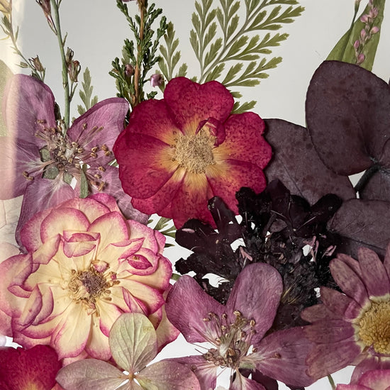 Hřejivé barvy pozdního léta