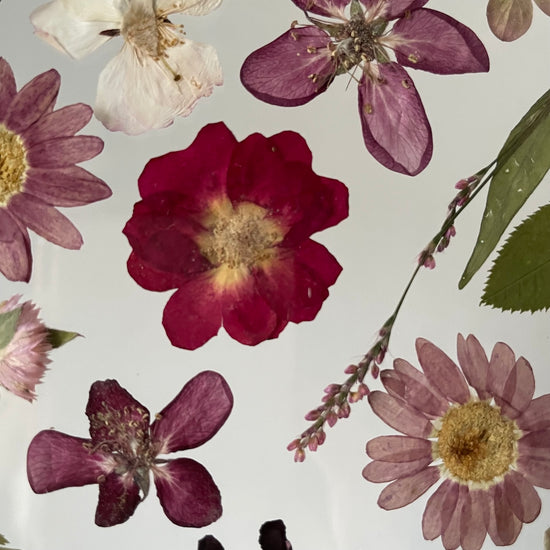 Vůně sklizně v podzimním sadu