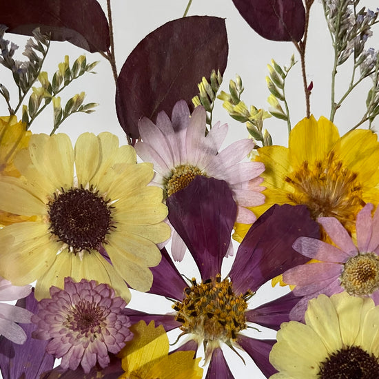 Hvězdičky na noční obloze