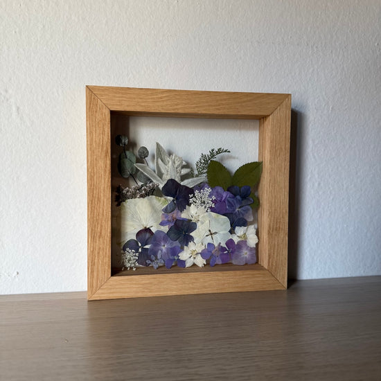 Dotekem Mrazíkovy hůlky