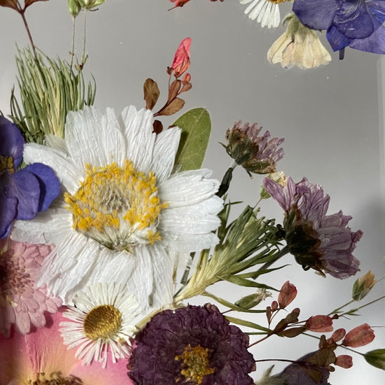 Rozkvetlá zimní zahrada