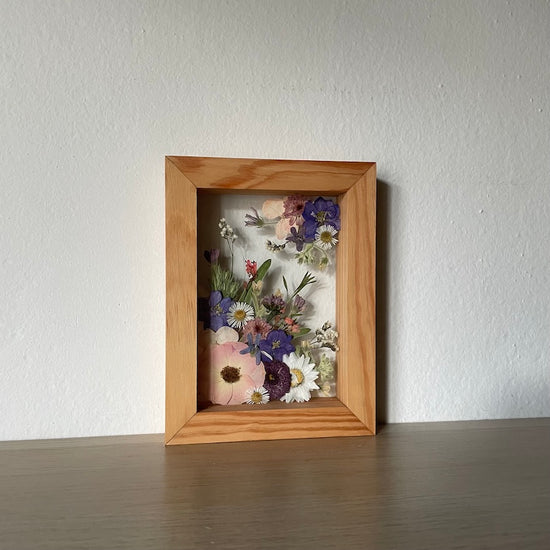 Ze světa pod hladinou