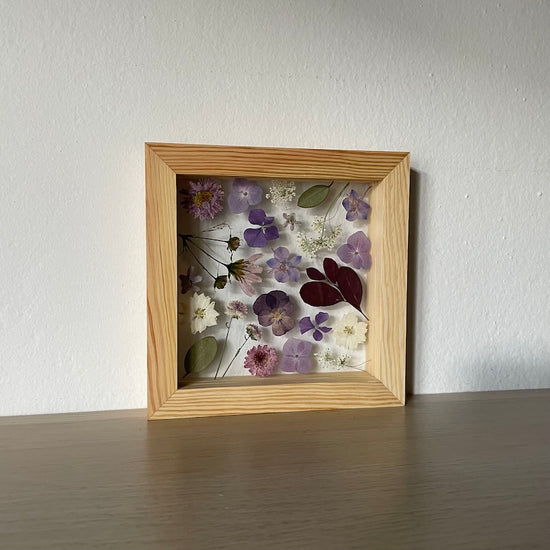 Procházka borůvčím