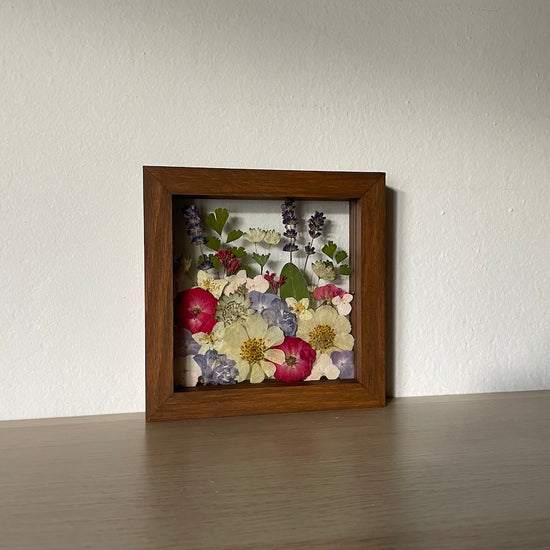 Maličkatý pralesníček