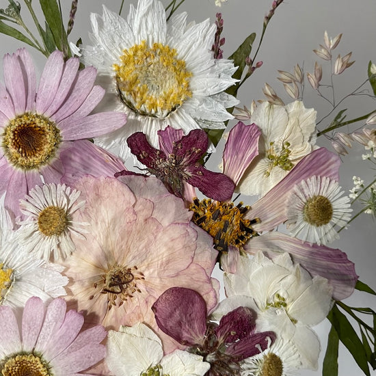 Ladný jako tanec baletek