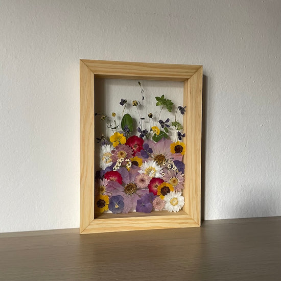 Jako broučci v květech letní loučky