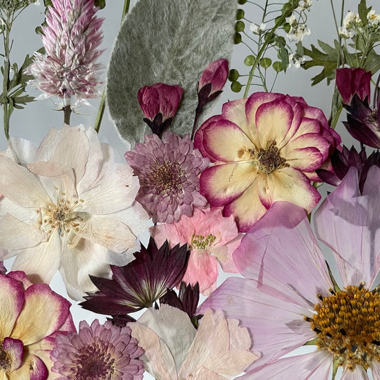 50 odstínů řůžové