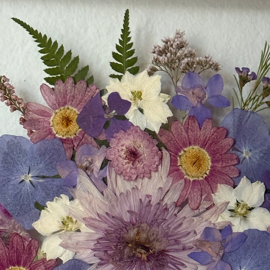 Královny chryzantémy