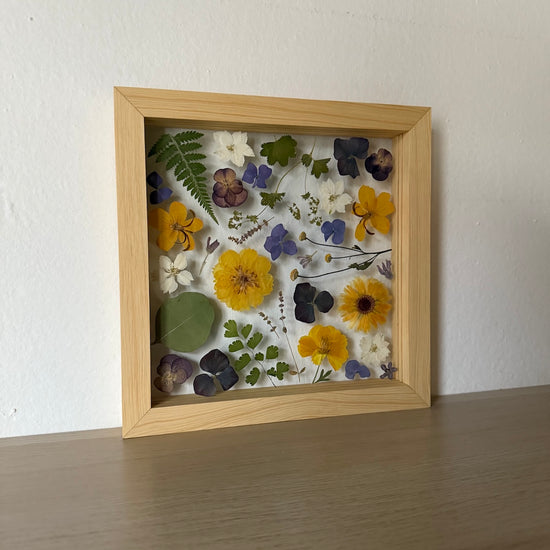 Všechny tvary přírody