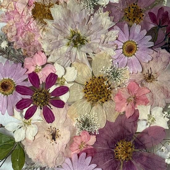 Květinová korunka krásy