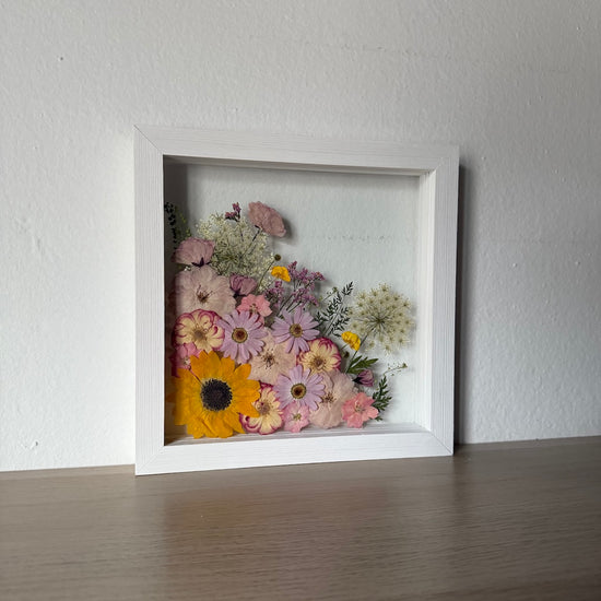 Slunné údolí jemnosti