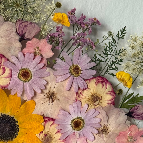 Slunné údolí jemnosti