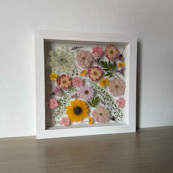 Pryskyřníčkové opojení