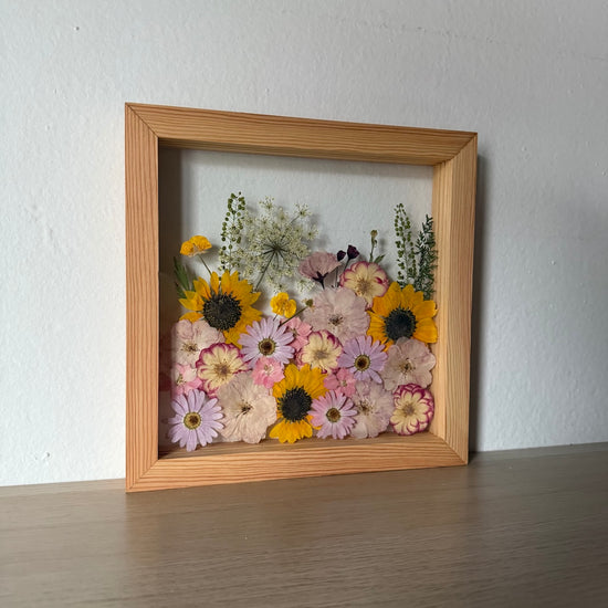 Balada o ptáčcích