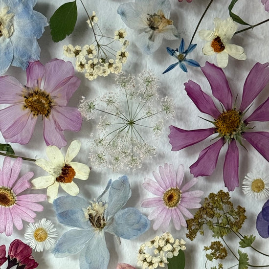 Když na jaře sprchne