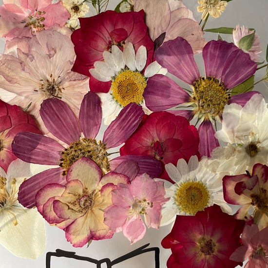 Čtenářka vášnivá