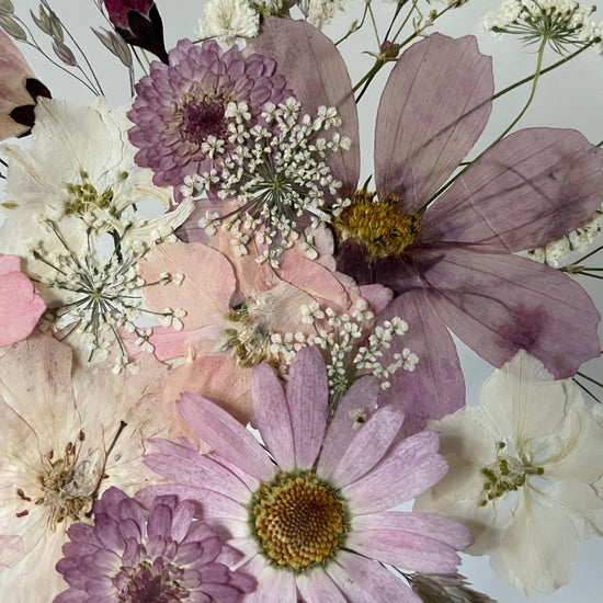 Sněhová vločka květů