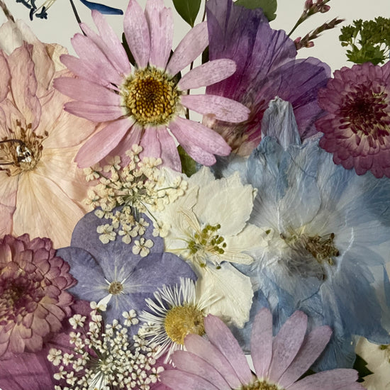 Když svítí souhvězdí květů