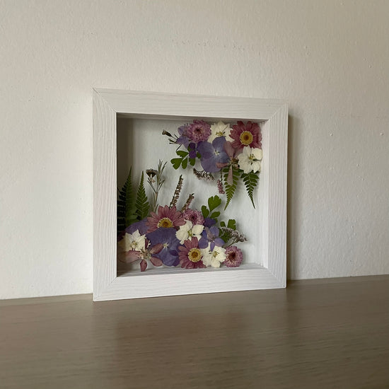 Fialovost borůvčí