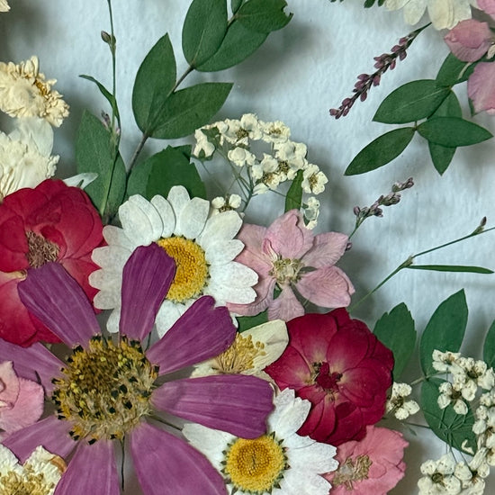 Co vyrostlo v růžcích