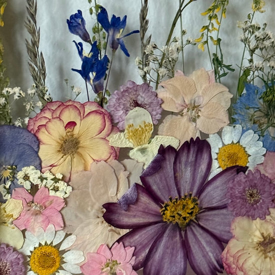 Vzpomínka letí nad hlavou