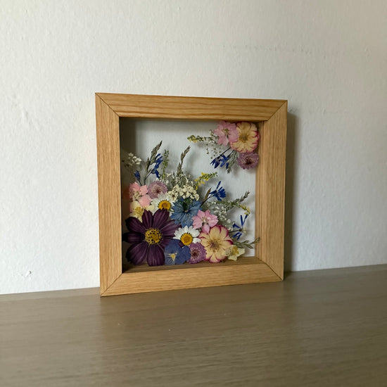 Píseň nového jitra