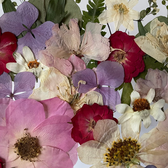 Ticho kouzelné zahrady