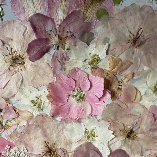 Myšlenky mé květinové