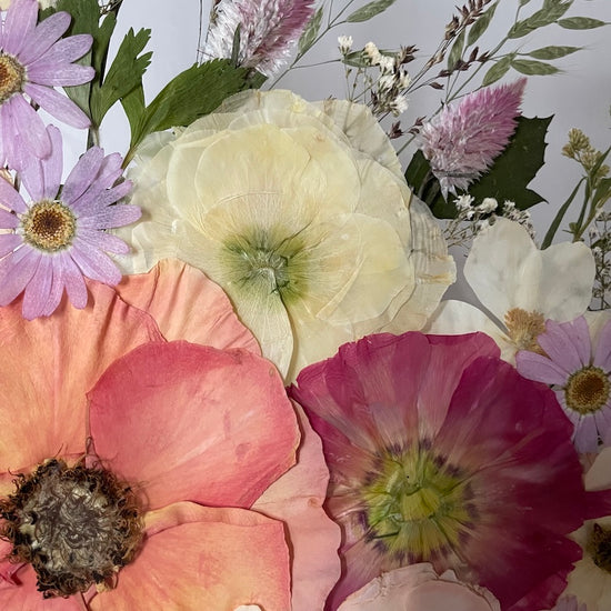 Procházím se lesem a naslouchám