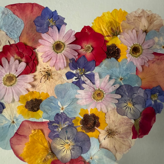 Láska, která rozkvetla pro tebe