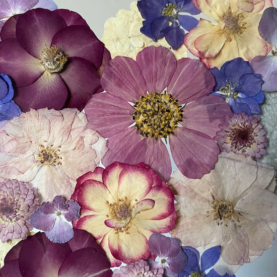 Své srdce a lásku ti dám