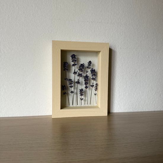 Pohlednice z Provence