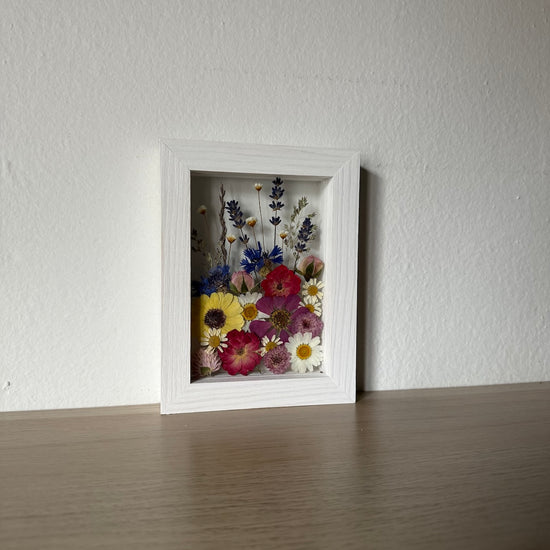 Plný léta, plný bzučení