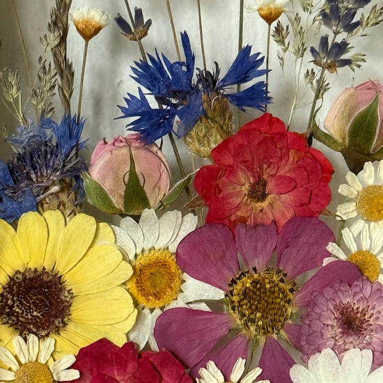 Plný léta, plný bzučení