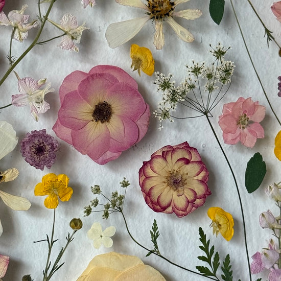 Na mýtince plné květů