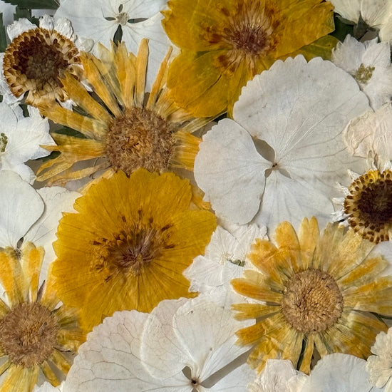 Tání pod paprsky jarního slunce