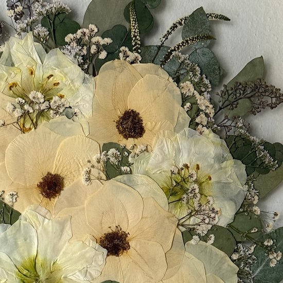 Smetanová rozkvetlost