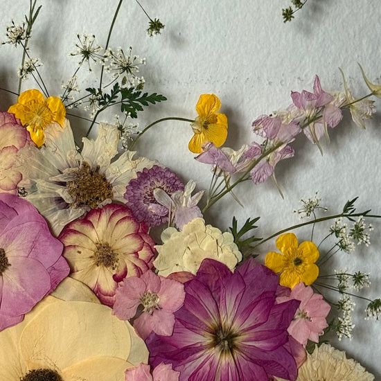 Okouzlení růžové víly