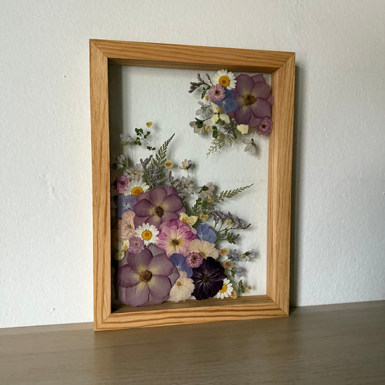 Kapradinky na divoké cestě