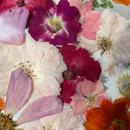 Jako košík plný čerstvých jablíček