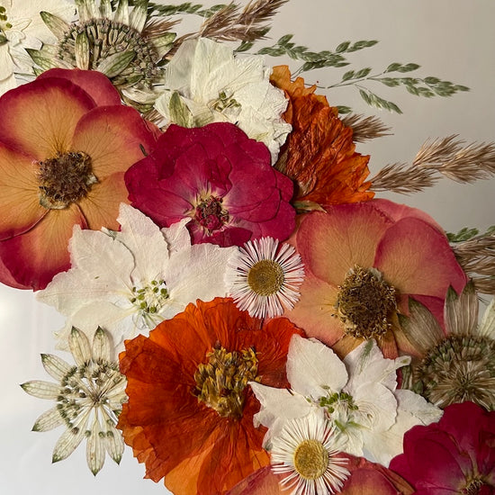 S hřívou plnou léta