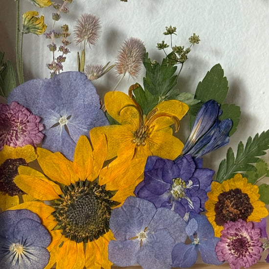 Odraz na vodní hladině