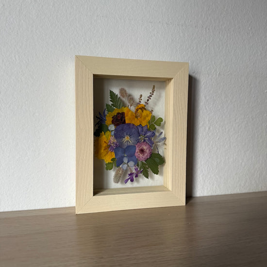 V lesíčku vykvetlé