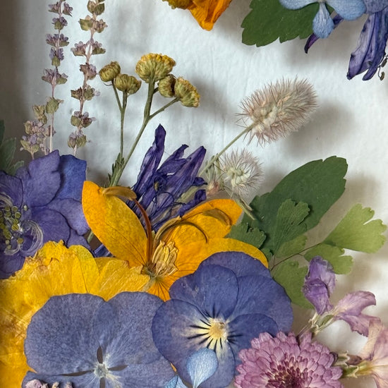 Slunečné hřejivosti