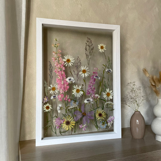 V obklopení kopretin