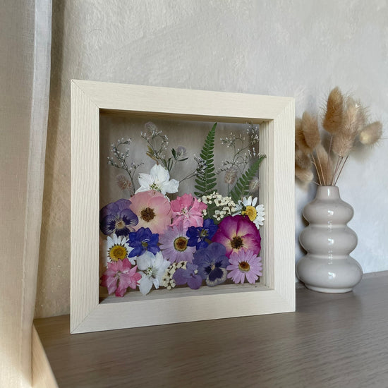 Zasněná kapradíčka