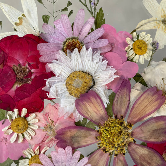 Jako chutnají třešně